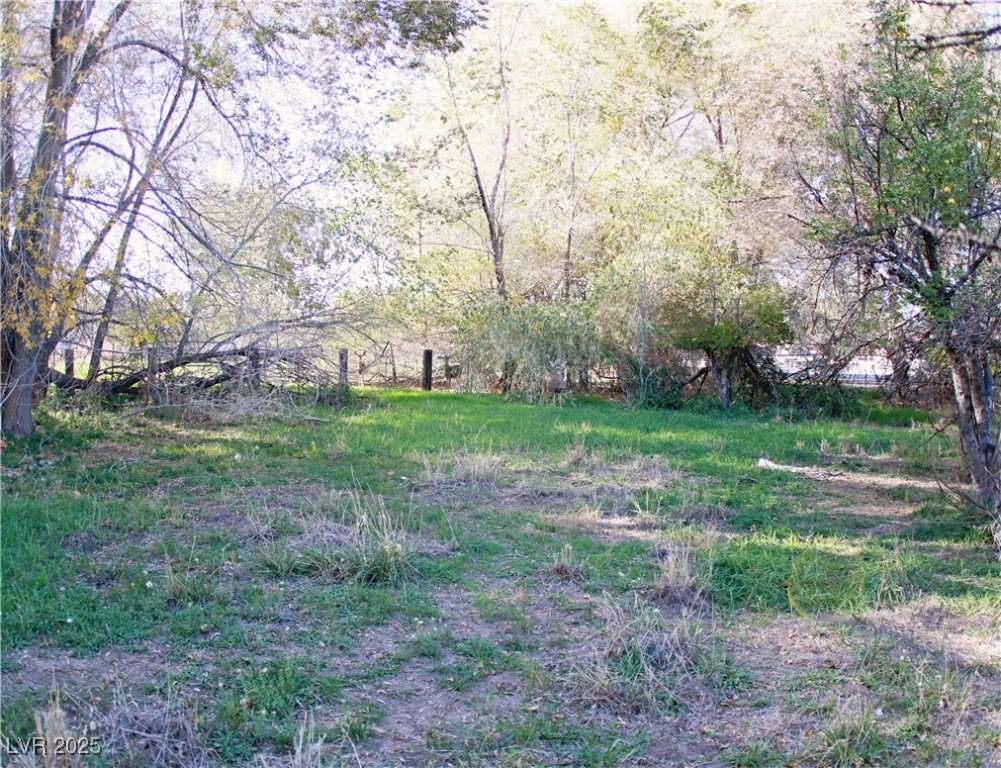 31 South 4th Street Panaca, NV 89042 - Photo 10 of 36 View of yard