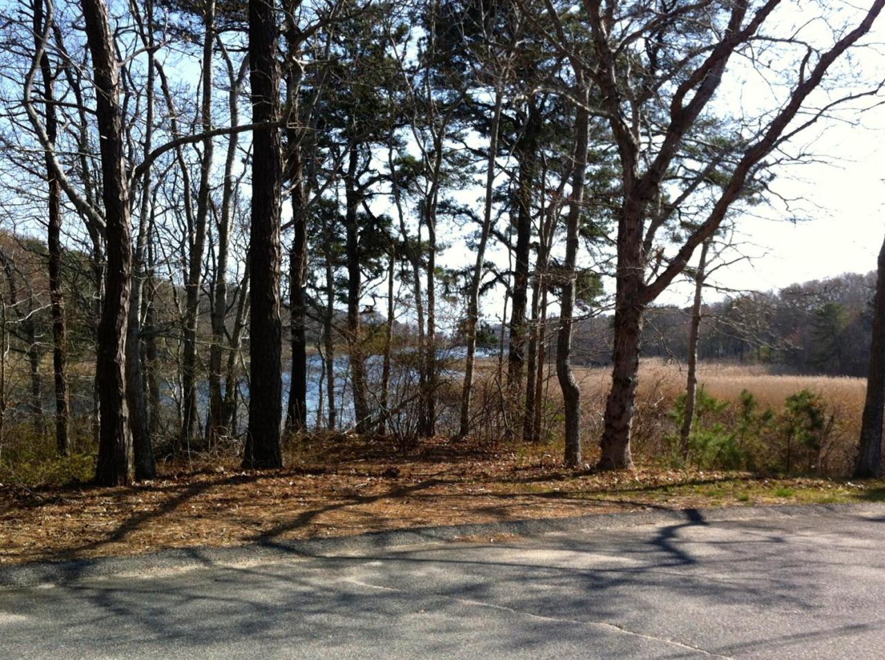 216 Riverview Lane Centerville, MA 02632 - Photo 4 of 16 a view of a backyard of a house