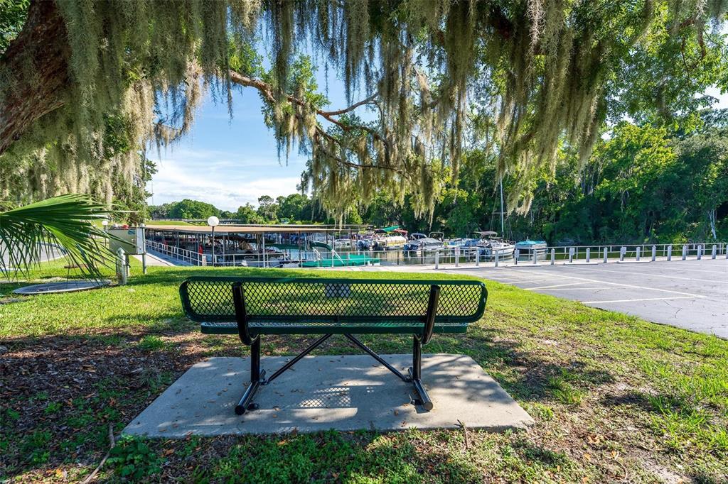 141 Azalea Trail Leesburg, FL 34748 - Photo 73 of 78