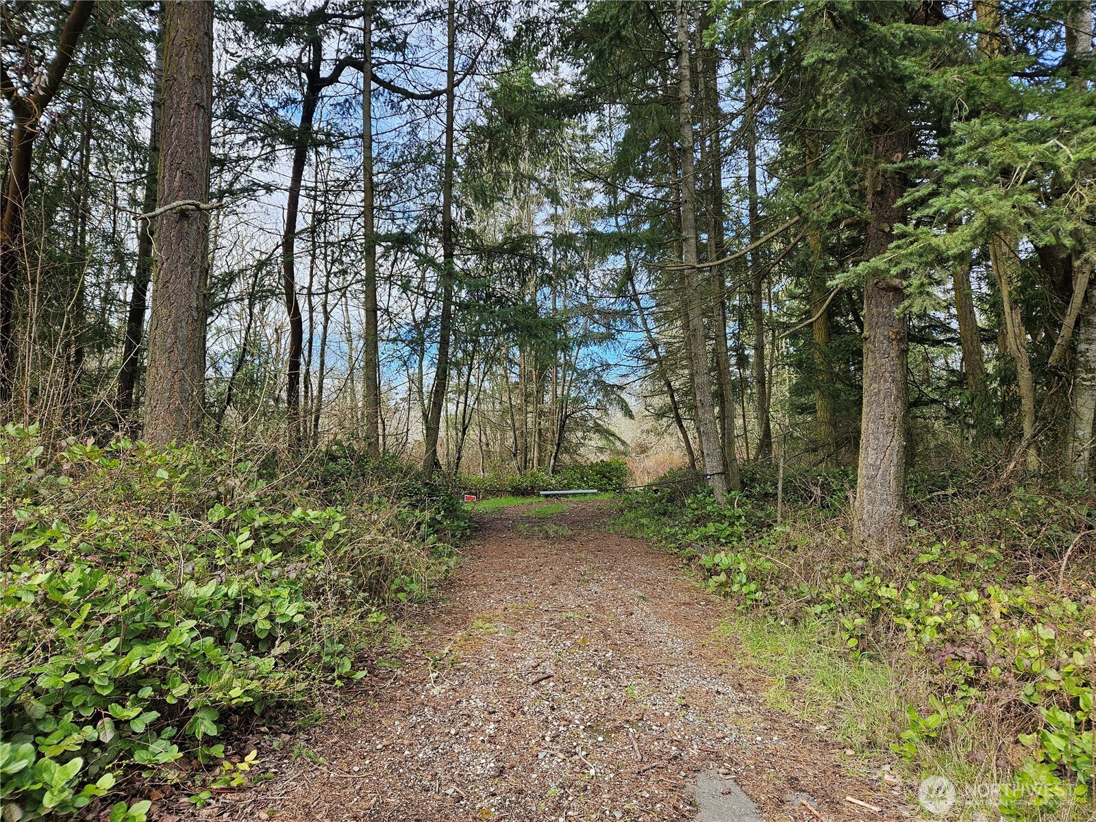 20 State Rte 20 Port Townsend, WA 98368 - Photo 3 of 3