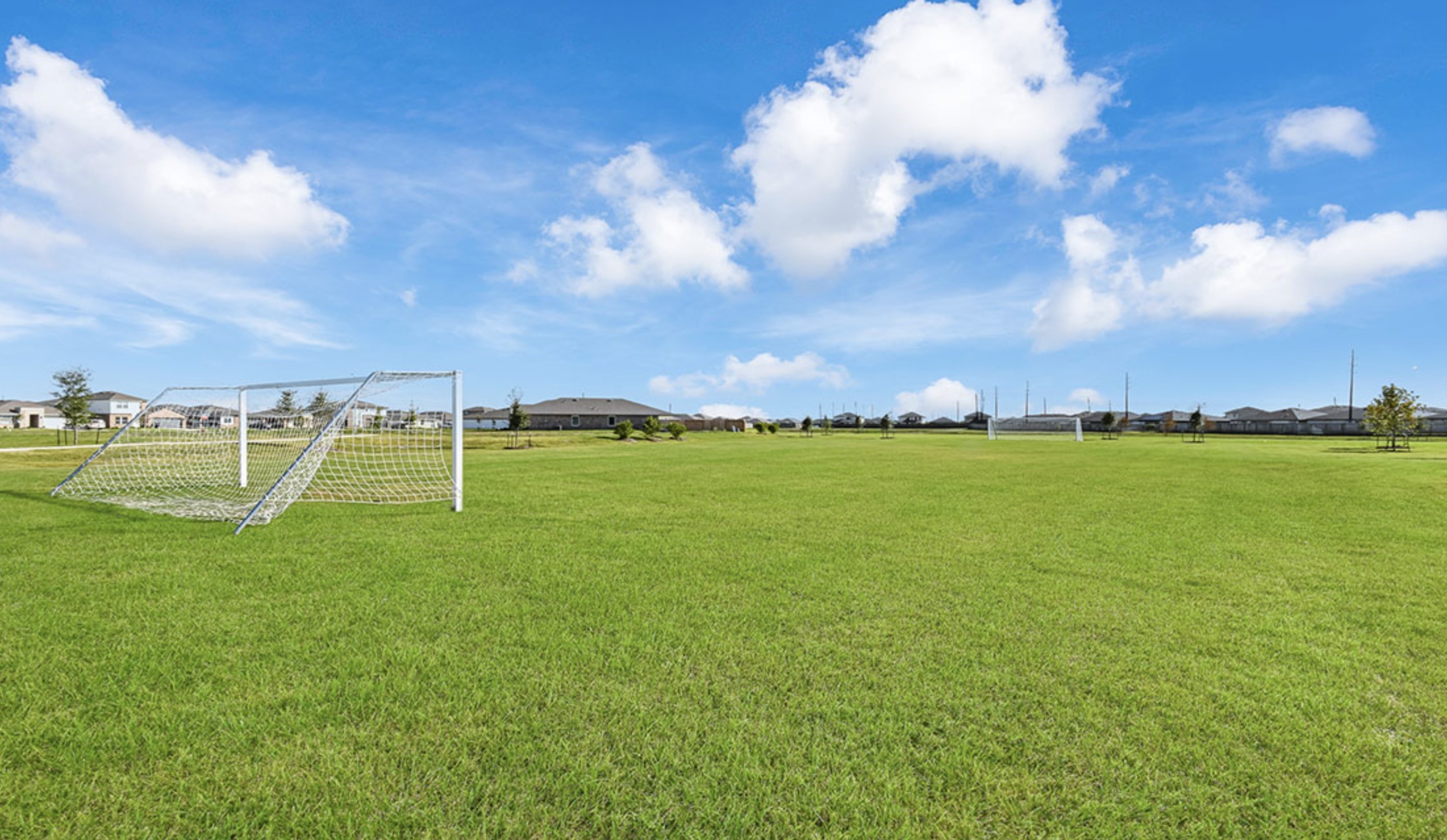 826 Green Clover Lane Rosharon, TX 77583 - Photo 33 of 33 Amenities.
