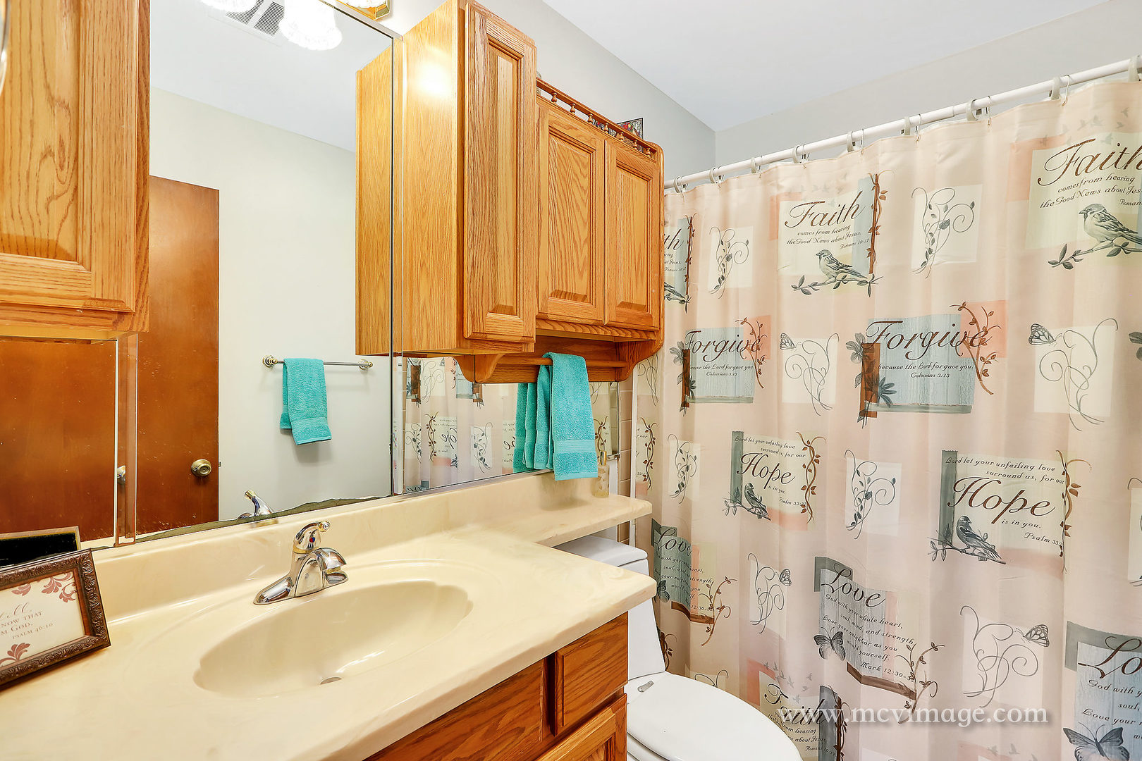 359 High Road Cary, IL 60013 - Photo 15 of 32 a bathroom with a sink a toilet and shower curtain