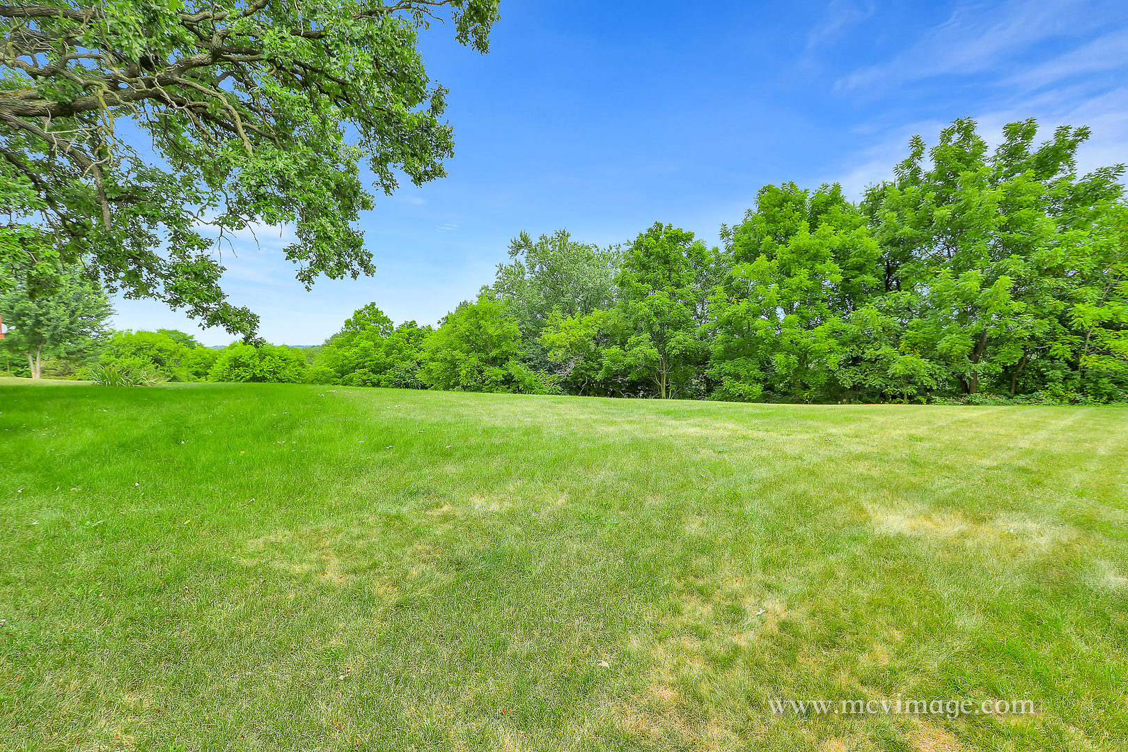 359 High Road Cary, IL 60013 - Photo 29 of 32 a view of a garden