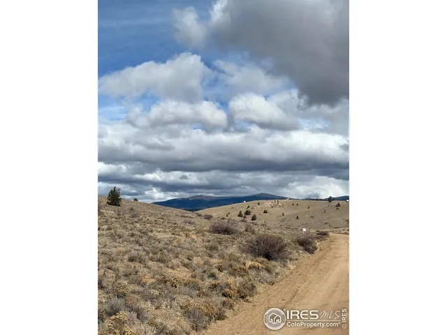 a view of a dry space with lots of trees