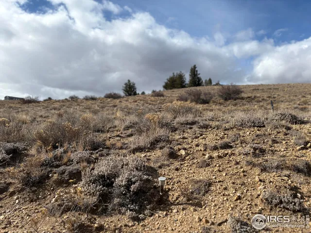 a view of a dry yard with wooden fence