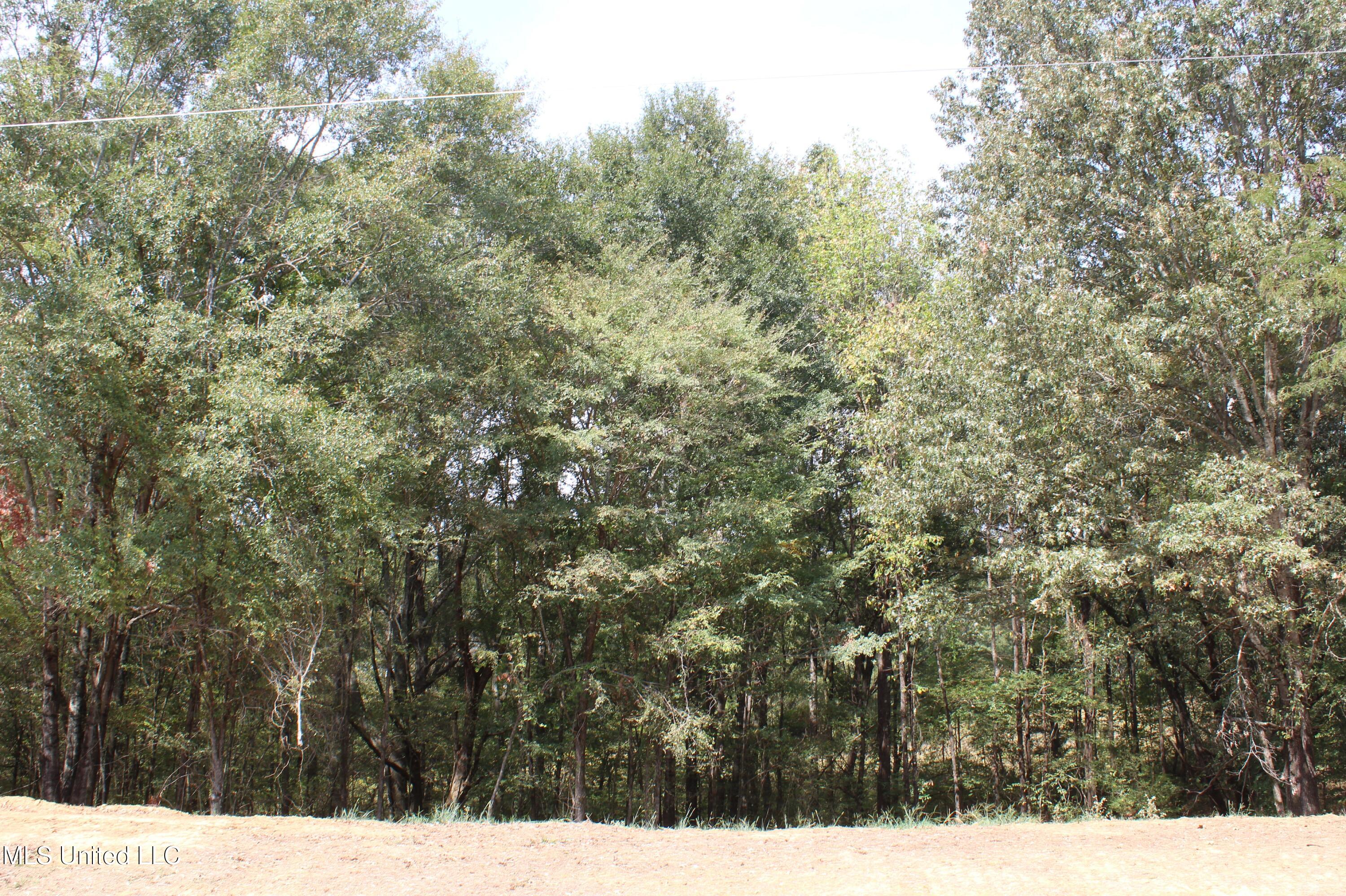 21 Hickory Hollow Road Coldwater, MS 38618 - Photo 24 of 70 IMG_6584
