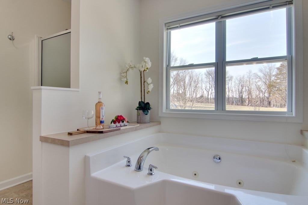 4140 South Hametown Road Norton, OH 44203 - Photo 20 of 34 Walk-in shower on the left with large soaker tub.