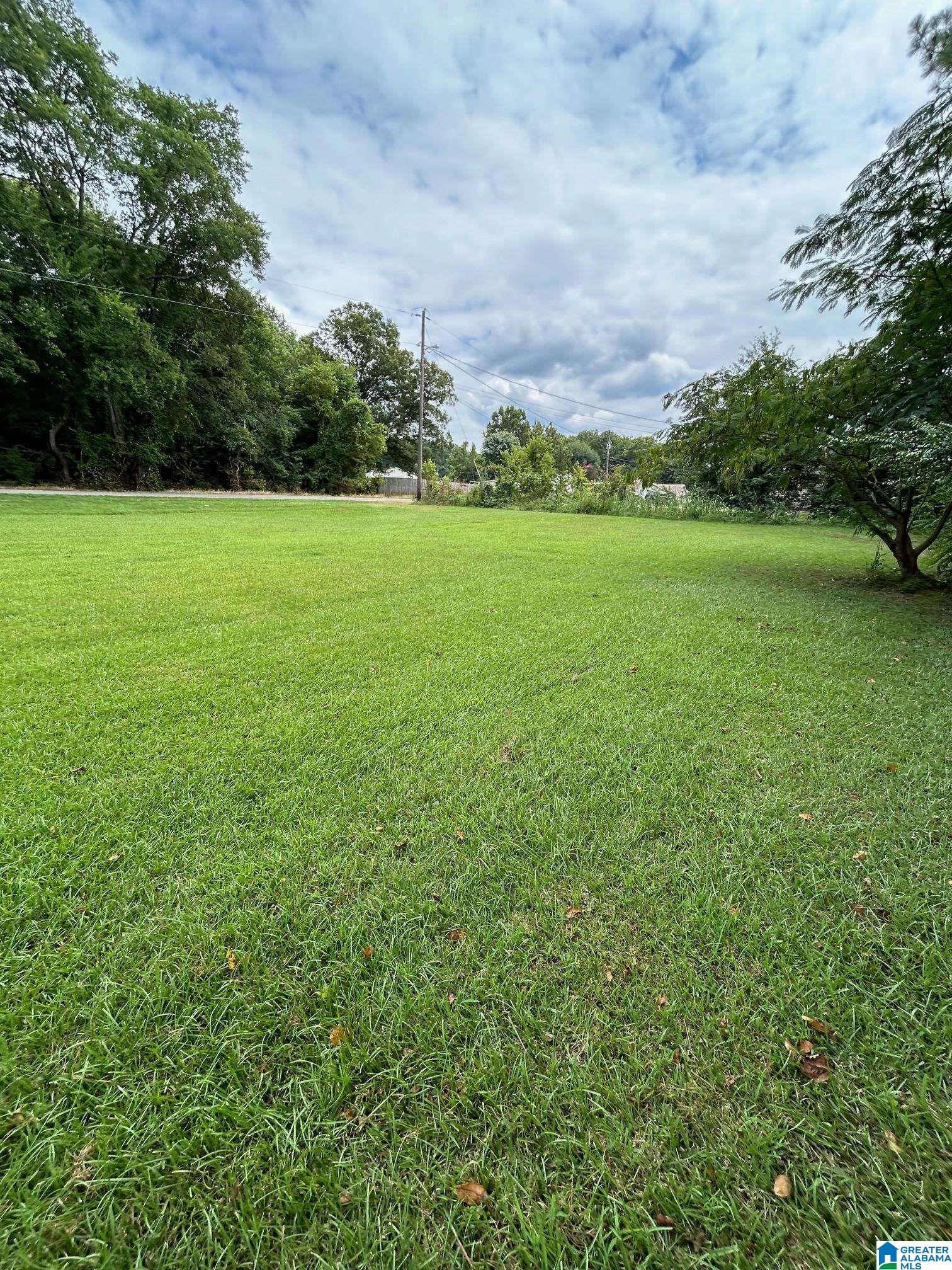 0 Glade Road Anniston, AL 36206 - Photo 4 of 4
