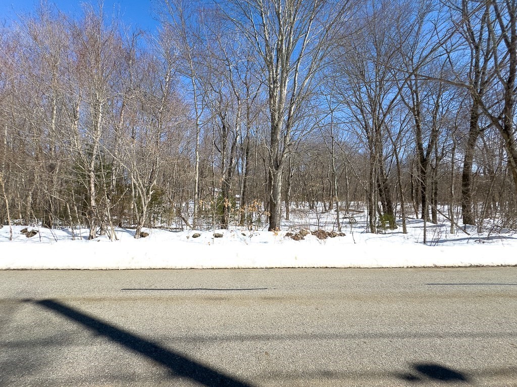 291 Wigwam Road West Brookfield, MA 01585 - Photo 6 of 9 a view of a yard with trees
