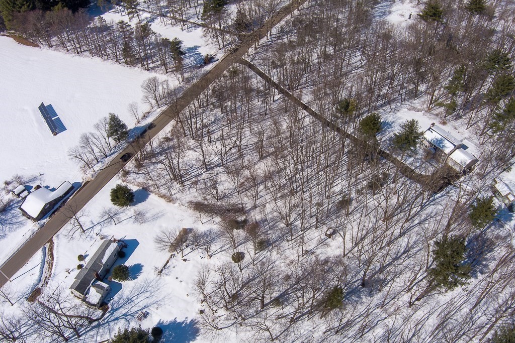 291 Wigwam Road West Brookfield, MA 01585 - Photo 8 of 9 a picture of tree