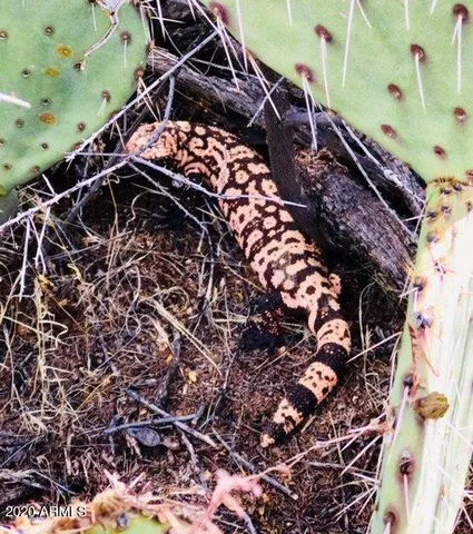 $92,000 | 0 South Bent Spur Road, Unit 69B, Congress, AZ 85332