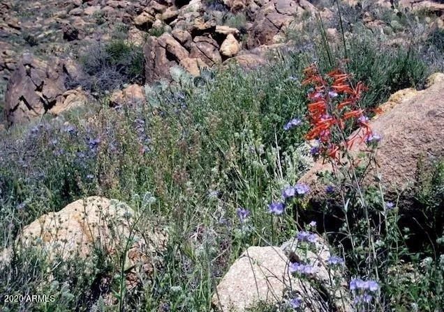 $92,000 | 0 South Bent Spur Road, Unit 69B, Congress, AZ 85332