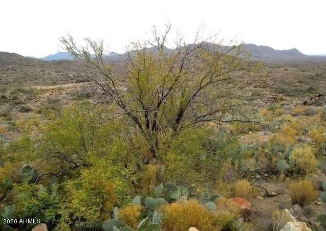 $92,000 | 0 South Bent Spur Road, Unit 69B, Congress, AZ 85332