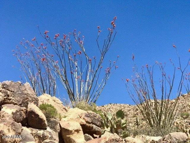 $92,000 | 0 South Bent Spur Road, Unit 69B, Congress, AZ 85332