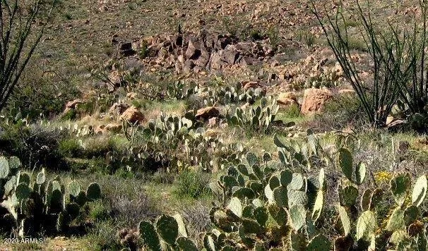 $92,000 | 0 South Bent Spur Road, Unit 69B, Congress, AZ 85332