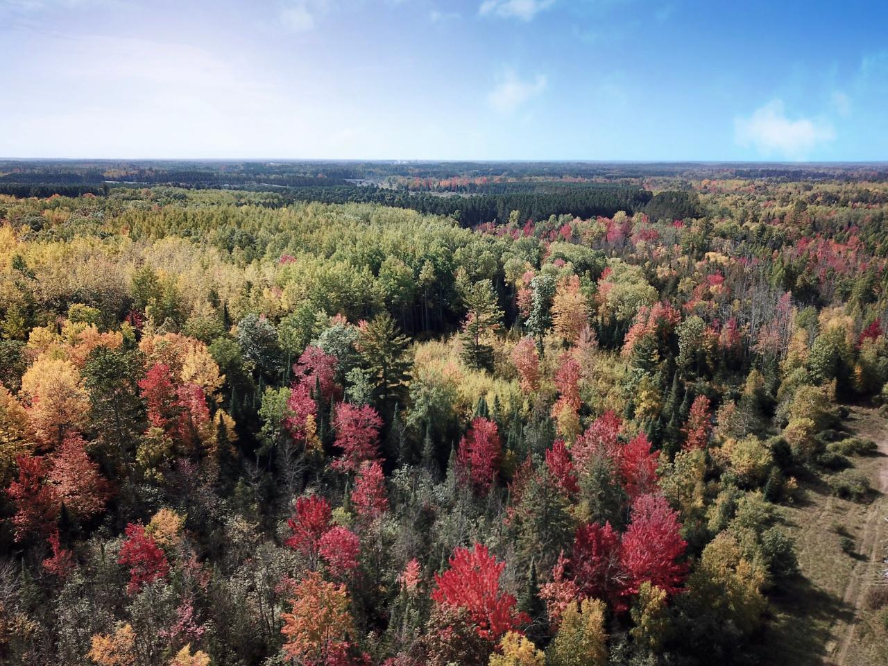 159-ac Piehl Road Tomahawk, WI 54487 - Photo 23 of 55 Gallery Image 23
