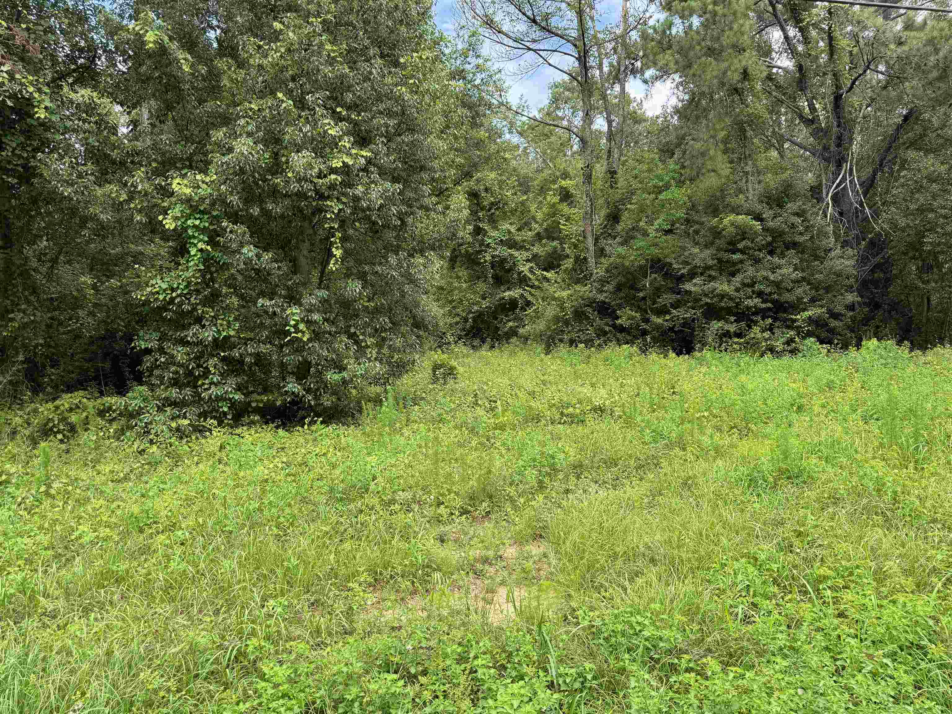 0 Sherwood Highland Road Fairhope, AL 36532 - Photo 3 of 5