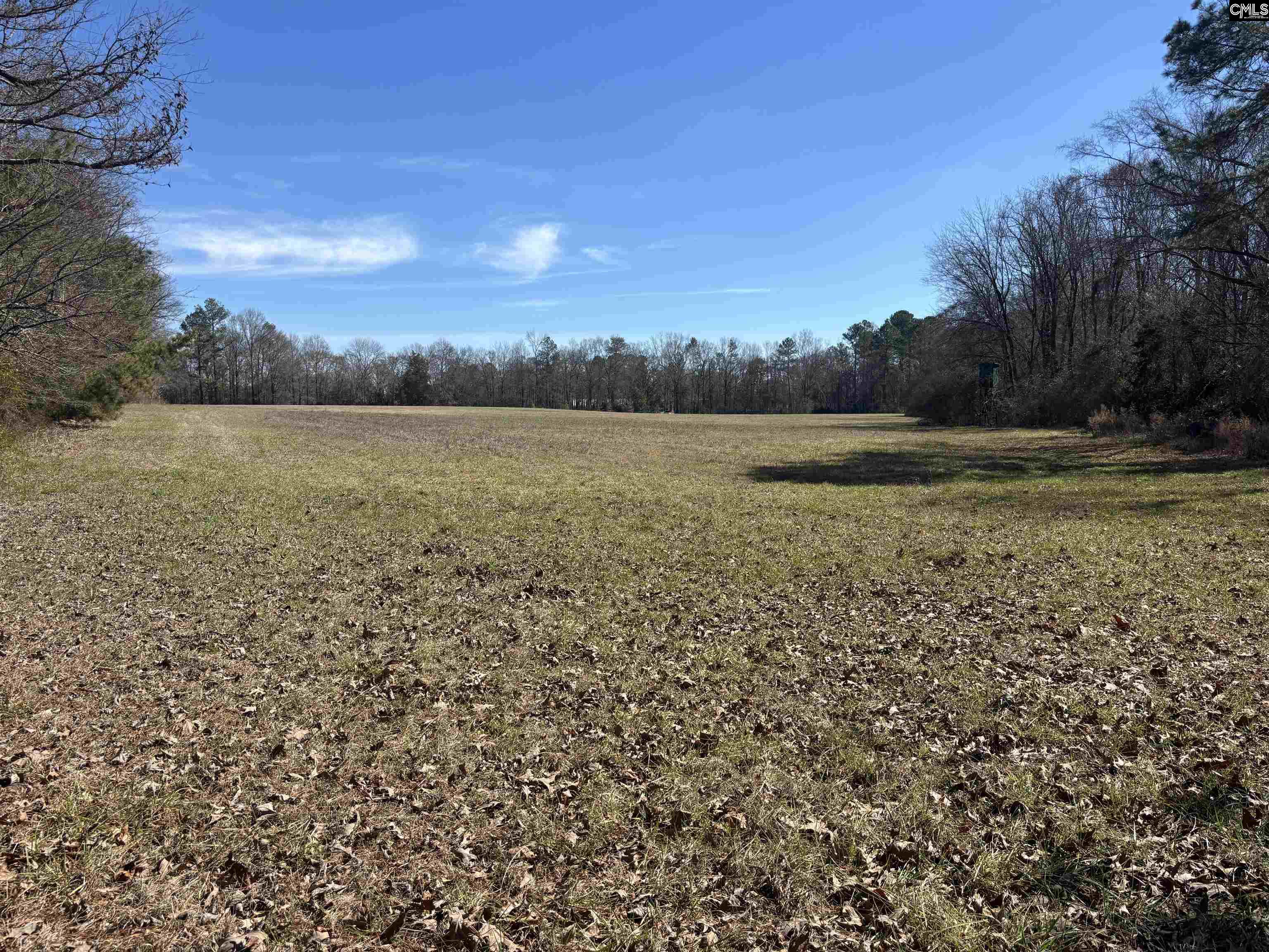 0 Bethany Road Saluda, SC 29138 - Photo 16 of 24