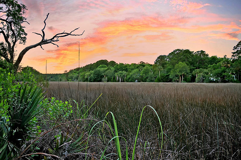 1629 Sewee Fort Road Mount Pleasant, SC 29466 - Photo 60 of 62 IMG_1514-copy