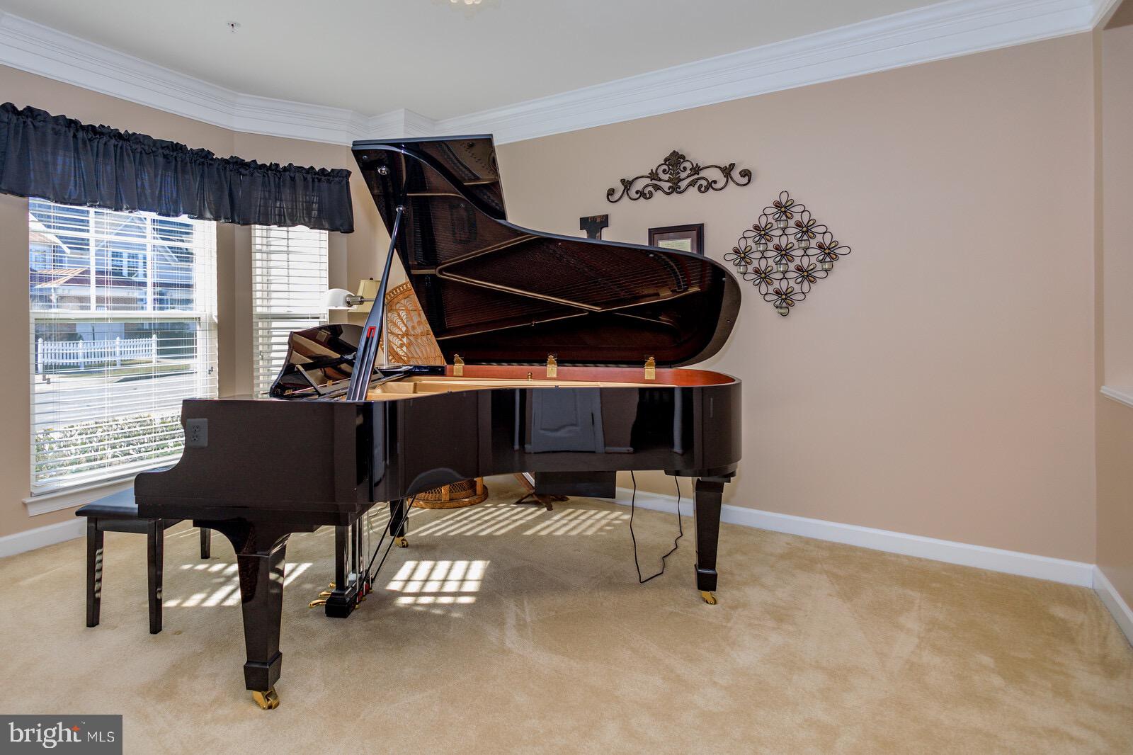 7224 Ivy Bank Road Laurel, MD 20707 - Photo 9 of 37 THIS IS THE OWNER'S MUSIC ROOM