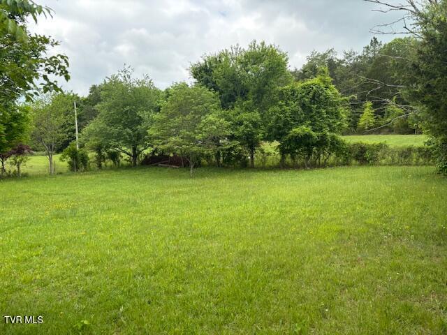 8415 Baileyton Road Greeneville, TN 37745 - Photo 5 of 36 IMG_5260 (1)