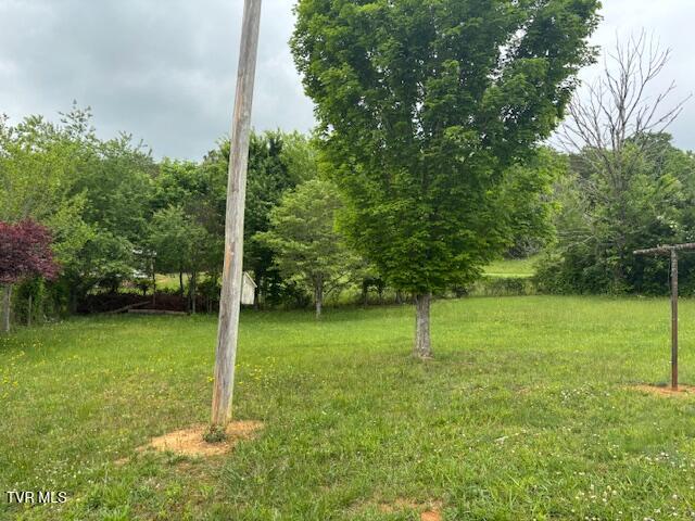 8415 Baileyton Road Greeneville, TN 37745 - Photo 6 of 36 IMG_5261 (1)