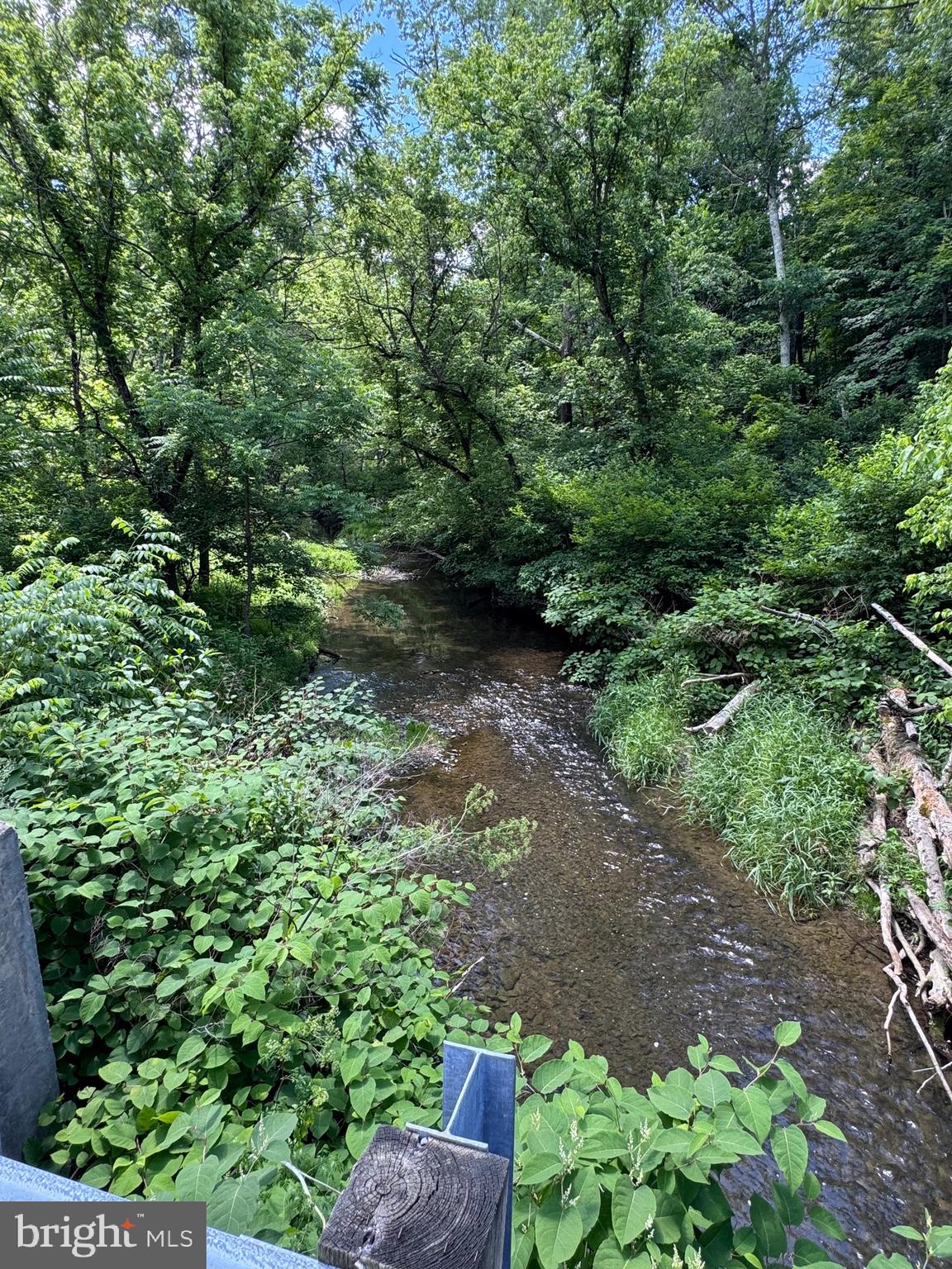 Sand Mine Rd Creek, Unit BY Berkeley Springs, WV 25411 - Photo 4 of 11