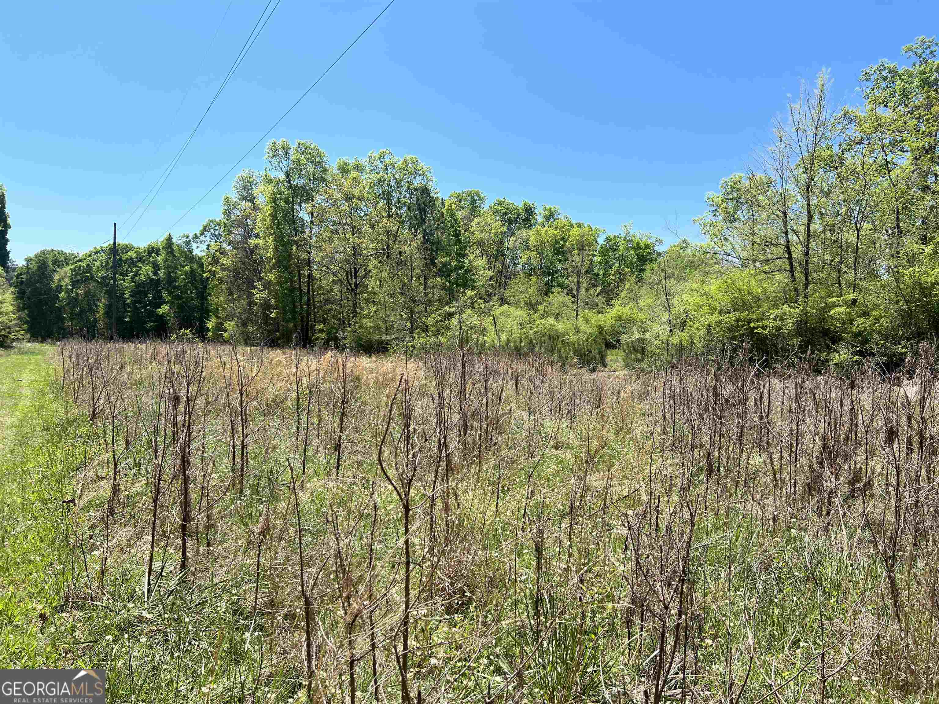 393-381 Old Conyers Road Stockbridge, GA 30281 - Photo 4 of 10 a backyard of a house