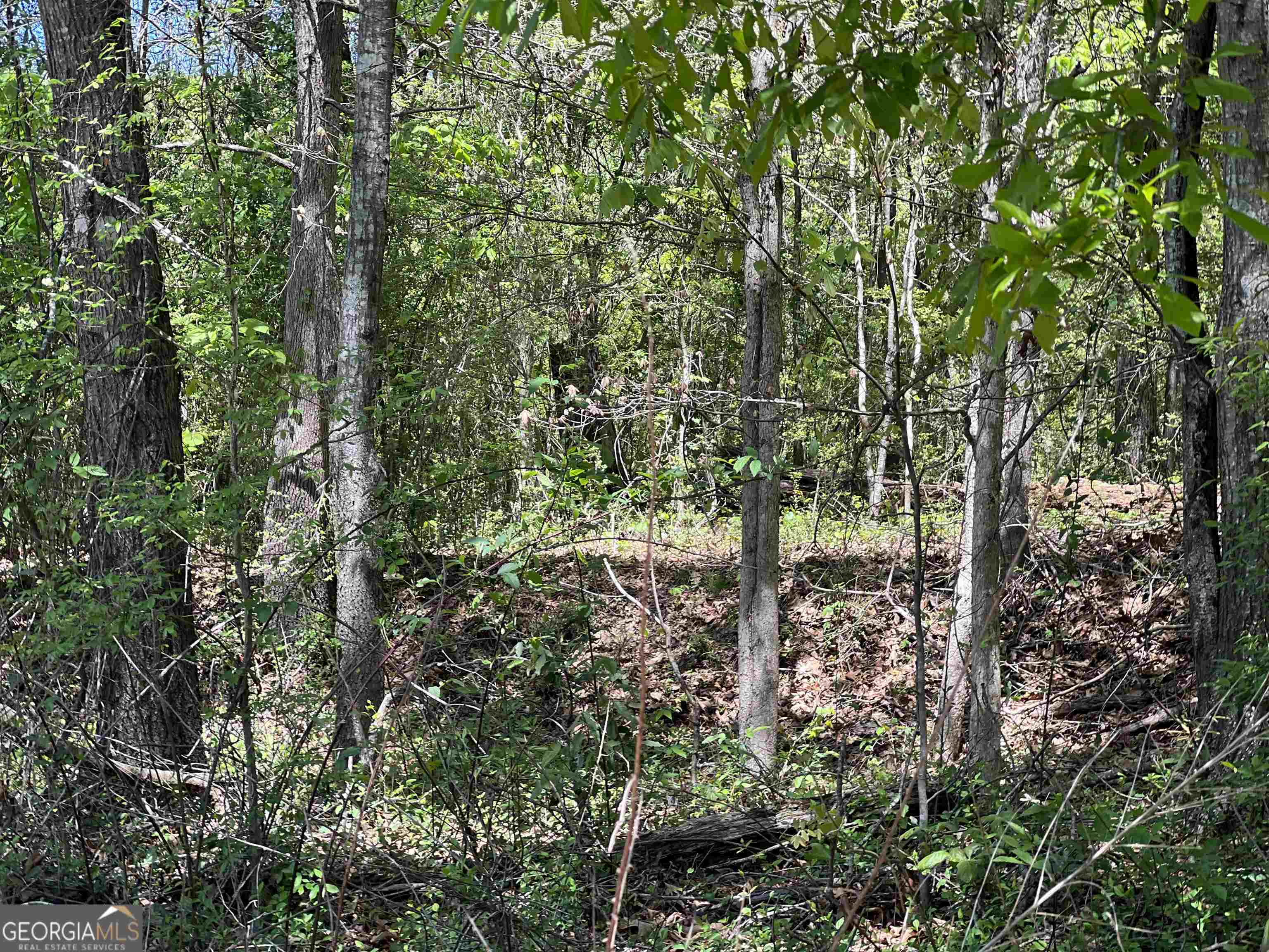 393-381 Old Conyers Road Stockbridge, GA 30281 - Photo 5 of 10 a view of outdoor space and green space