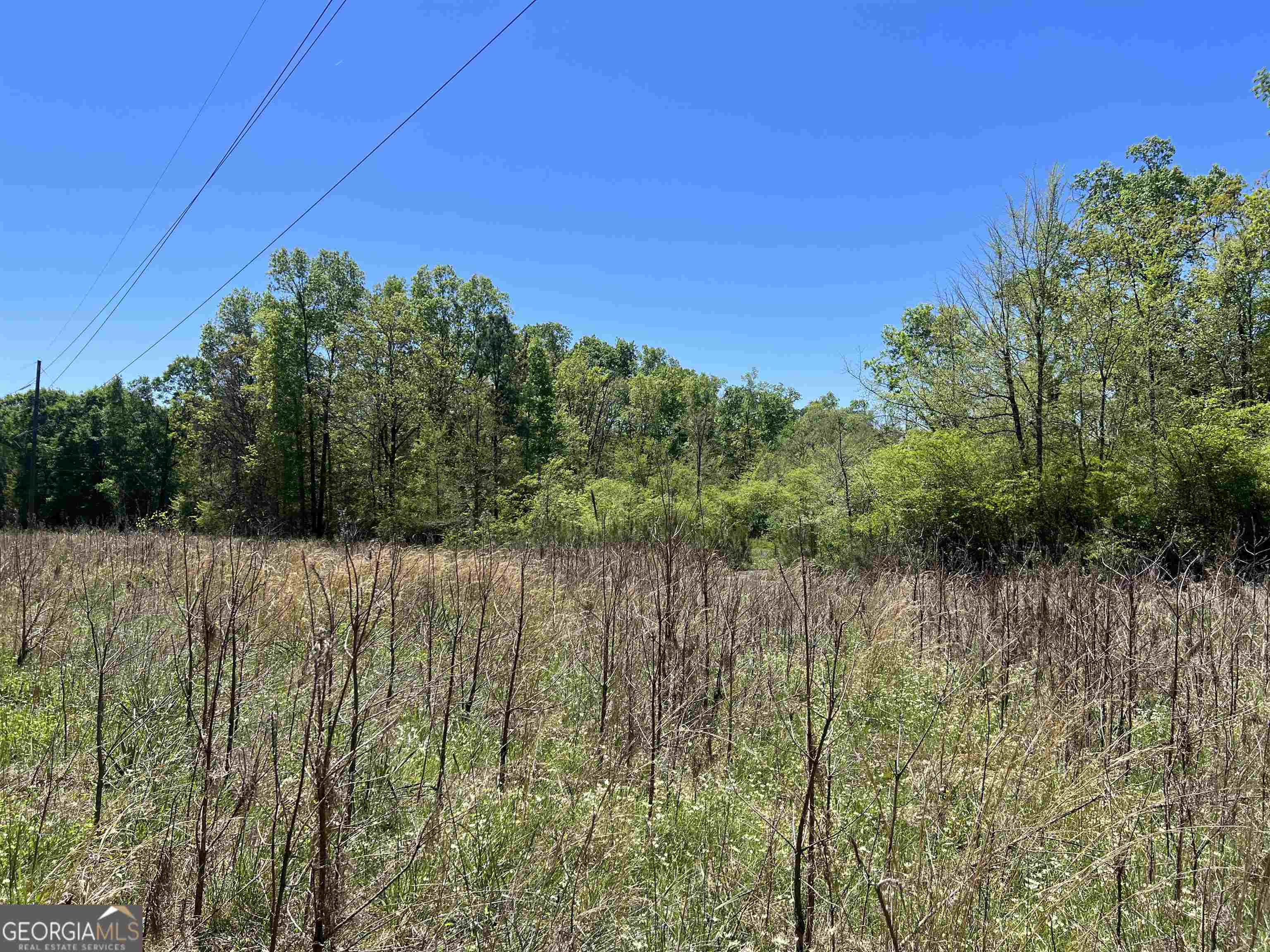 393-381 Old Conyers Road Stockbridge, GA 30281 - Photo 8 of 10 a view of a yard
