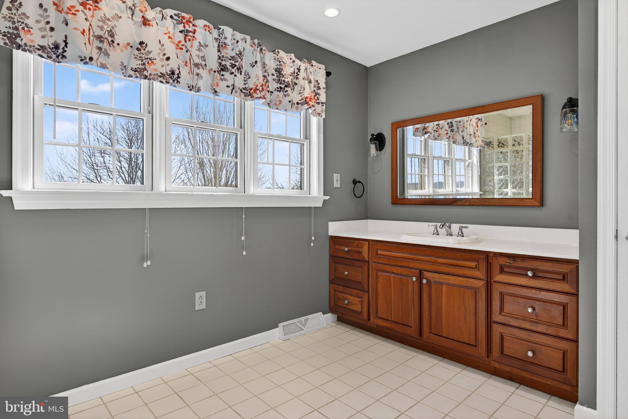 414 Twin Elm Road Strasburg, PA 17579 - Photo 21 of 30 a spacious bathroom with a sink mirror and a window