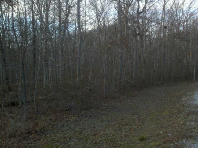 0 Macooa Road Altamont, TN 37301 - Photo 3 of 6 Approx. 546 road frontage