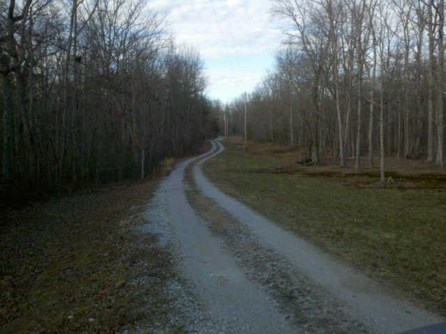 0 Macooa Road Altamont, TN 37301 - Photo 4 of 6 Build your dream home on the beautiful land