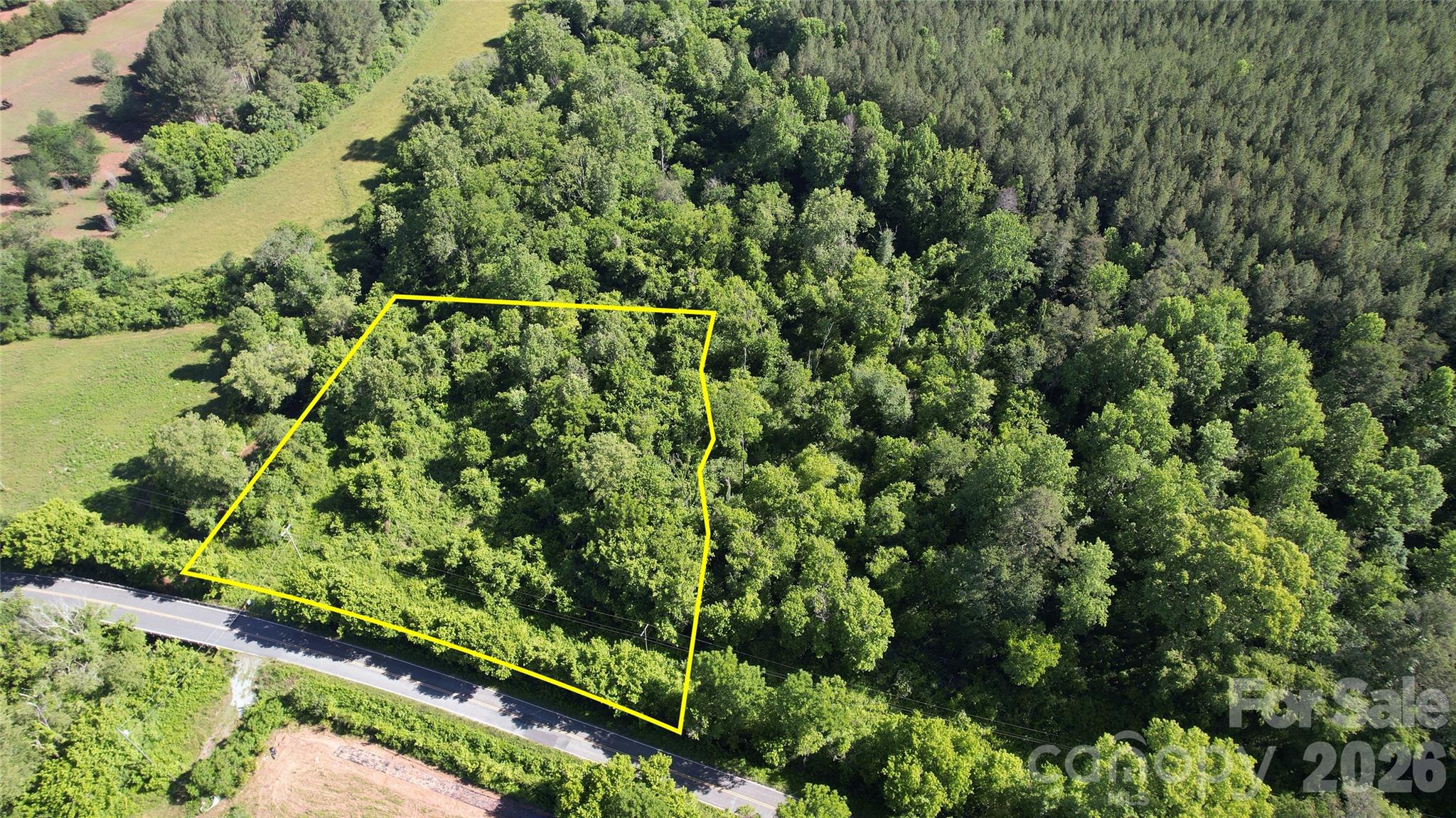 468 Mackey Freeman Road Rutherfordton, NC 28139 - Photo 8 of 21