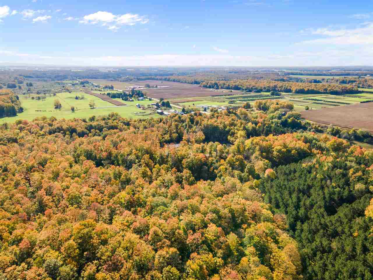 8329 Wilson Road Buckley, MI 49620 - Photo 9 of 62 1894495-8.JPG
