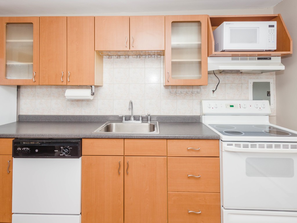 57 Colborne Road, Unit 5 Boston, MA 02135 - Photo 9 of 19 Gallery Image 9