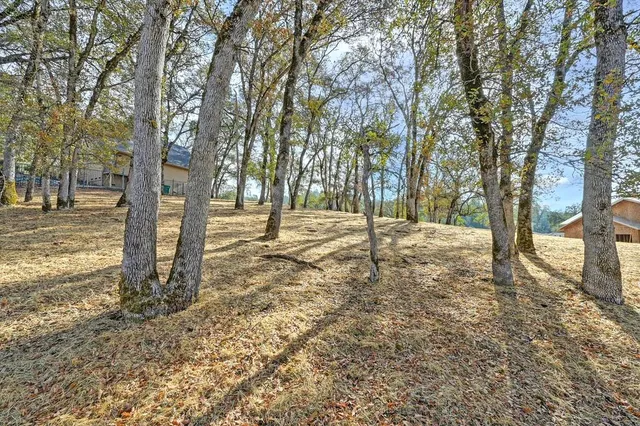 a view of road with trees