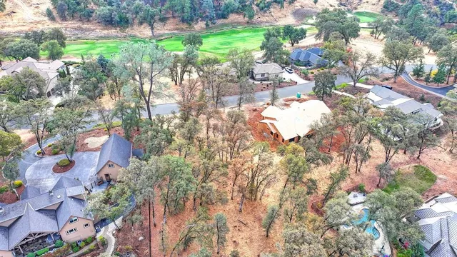 a view of a bunch of trees