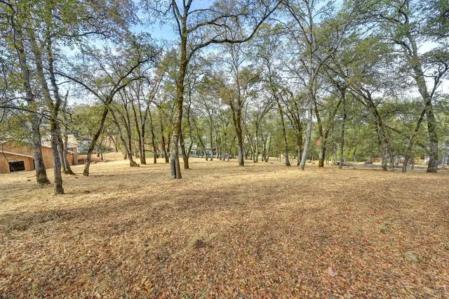 a view of outdoor space with trees