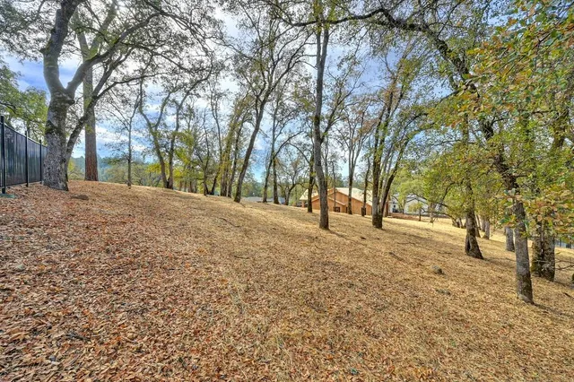 a view of road and trees