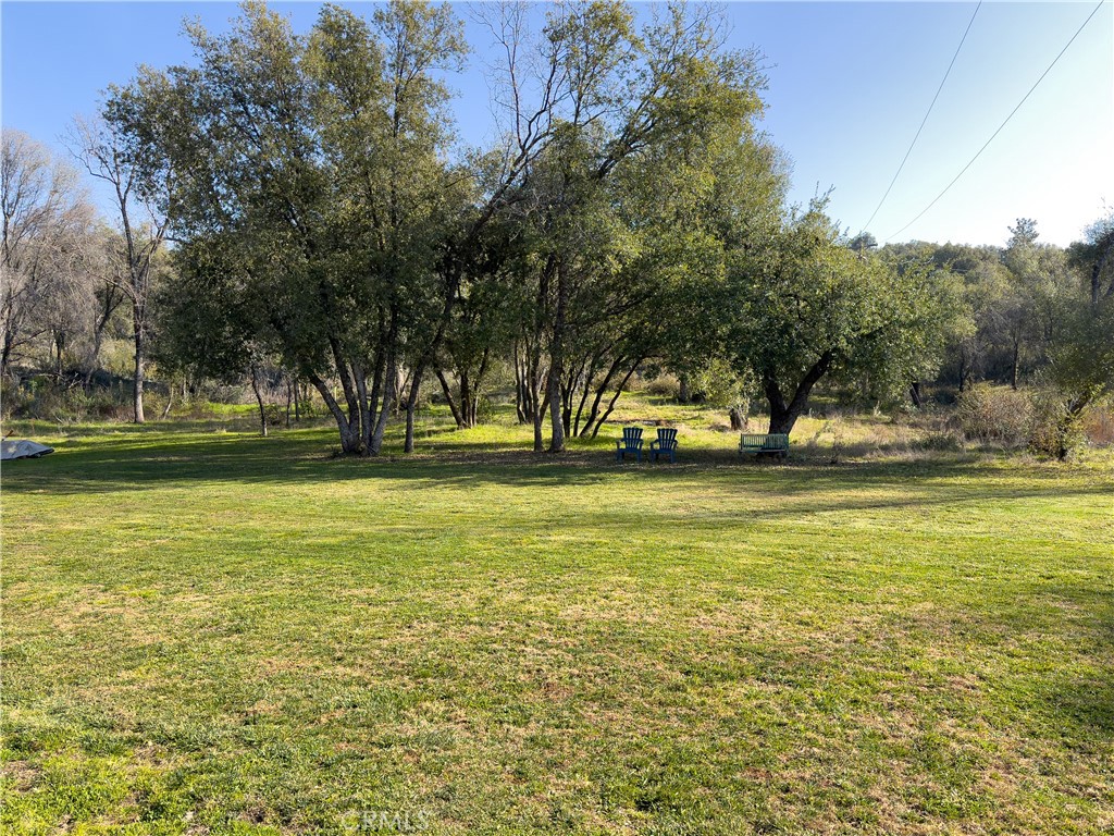 5641 Darrah Road Mariposa, CA 95338 - Photo 47 of 58 a view of outdoor space with swimming pool and trees