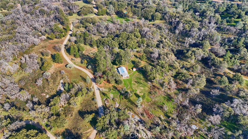 5641 Darrah Road Mariposa, CA 95338 - Photo 51 of 58 a view of a tree