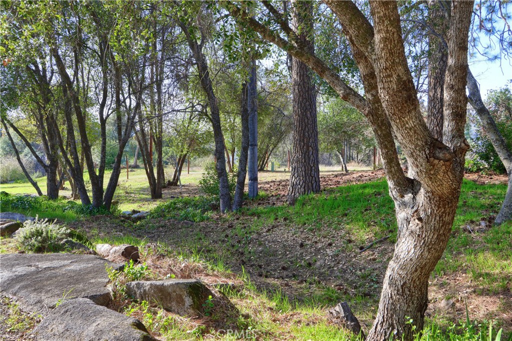 5641 Darrah Road Mariposa, CA 95338 - Photo 52 of 58 a backyard of a house with lots of green space