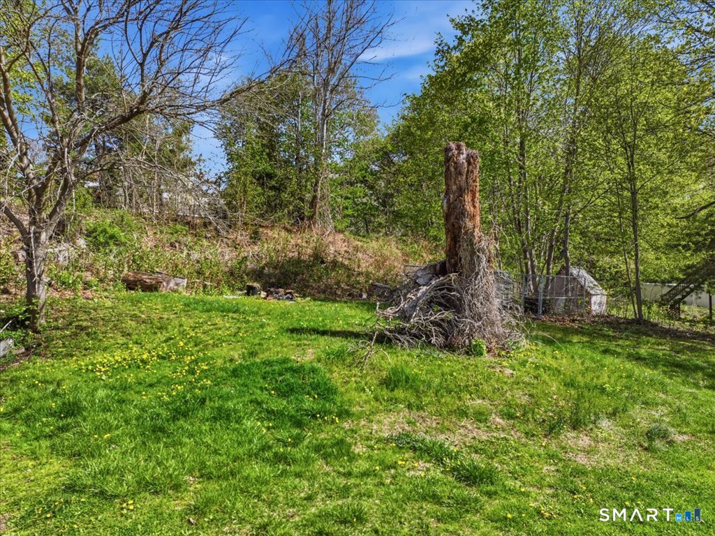 16 Grandview Terrace Portland, CT 06480 - Photo 6 of 37 a view of a forest with a tree