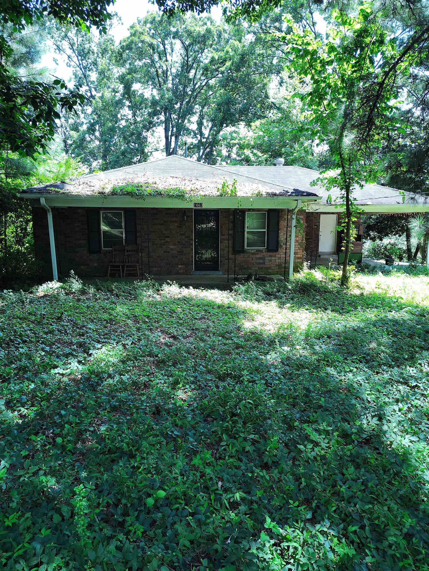 a view of a back yard of the house