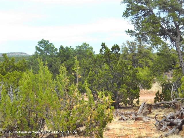 7061 Red Butte Road Valle, AZ 86046 - Photo 8 of 16 DSCN0900