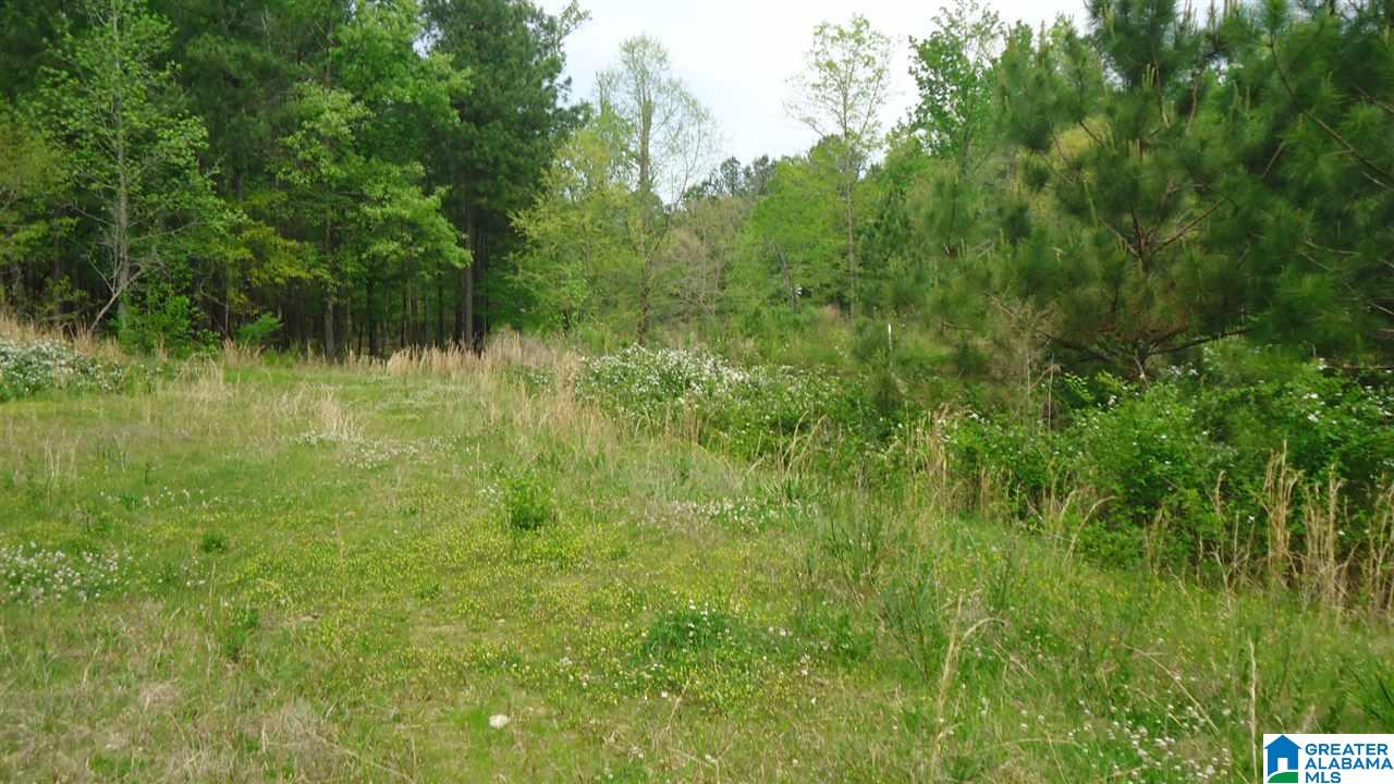 0 Mudd Street Ohatchee, AL 36271 - Photo 14 of 20