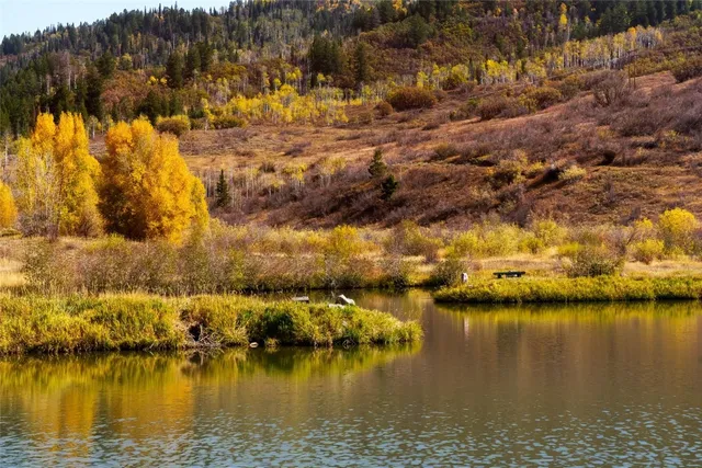 a view of a city with lush green forest