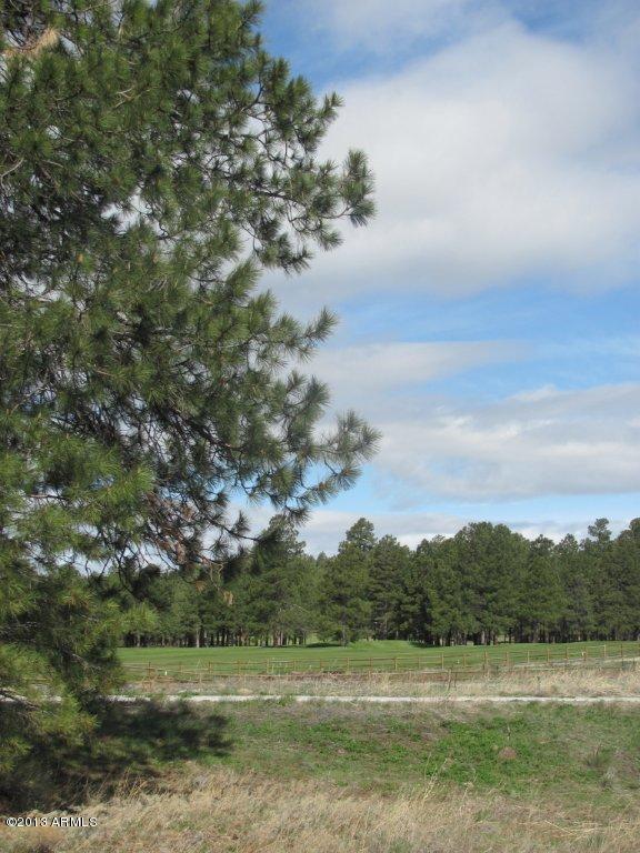 2638 Ridgewood Way, Unit 89 Williams, AZ 86046 - Photo 8 of 10 8