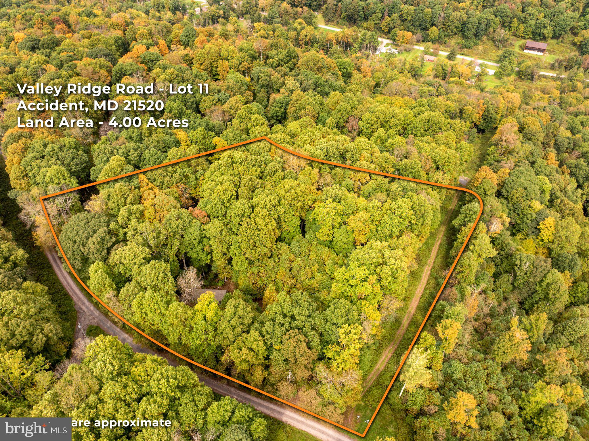 Valley Ridge Road Accident, MD 21520 - Photo 15 of 17 Gallery Image 15